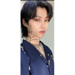 Straykids fan