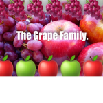 THE GAPPLE NATION