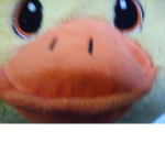The power of the Ducks