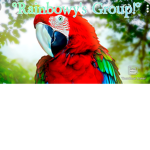 #RainbowyArmy