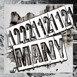 12MANY