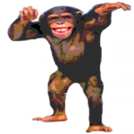Neil's Monke Business
