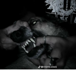 Dog yess