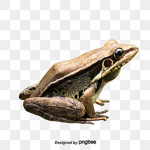 GIVEAWAYS MOOMOO123456Y
