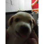 La María es una caca