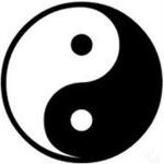 Fighters kung fu