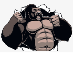 GORILLA KARATE