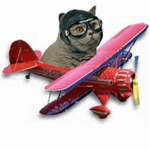 Air Force of Shadow Blue Cats
