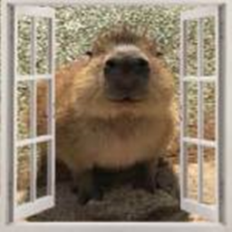 capybara house