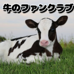 牛のファンクラブ