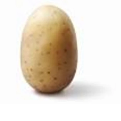 2Potato UGC Studios Roblox group icon