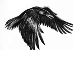 The Ravens of ROBLOX