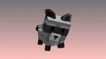 GiveawayRacooc