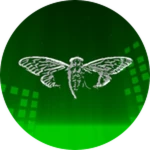 Cicada 3301