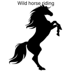 ~ Wild Horse Riding ~