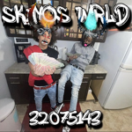 SKINOS WRLD