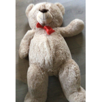 MR.TEDDY