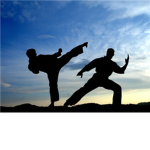 Kung fo fighters