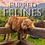 - furred felines! - {WCUE}