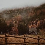 ⋆｡°✩🍂✩°｡⋆