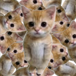 catworldgames