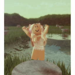roblox avatar showcase