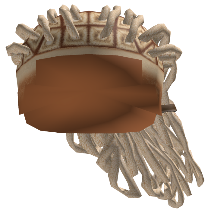 Rylo Locs V2