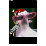 El_ pepe<3