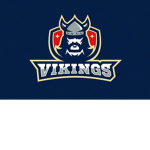VikingFanGroup