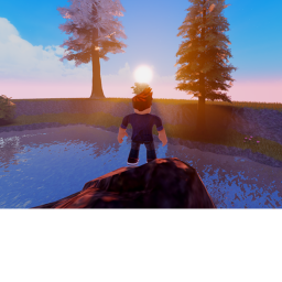 Forest LIfe