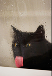 NotGroupFound