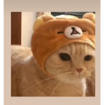 the.teddy.army