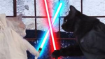 MEOW MEWO MEOW SUSSSUS