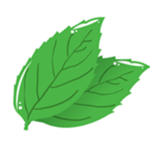 The Mint Clan