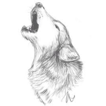 TheBeautyWolf