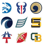 NFBL (national foot ball league)