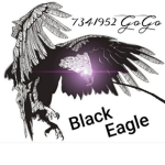 Black Eagle(검정 독수리)