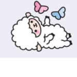 the lil lamb squad