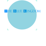 •The Blue Kingdom•