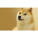 Doge friend group :)