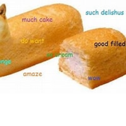 cooking doges