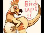 the bird up team
