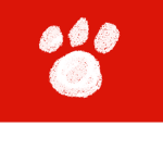 THE ELEMENTARY WOLVES