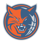 Charlotte Bobcats*Travel Team*