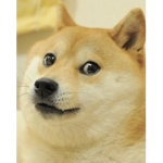 Mafia-Doges