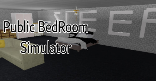Public BedRoom Simulator