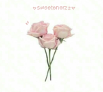 sweetenerzz