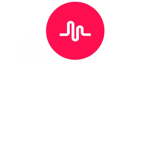 Musically Fan Group