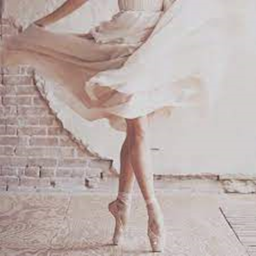 Fly Land's Dance Studio (RELEASED)