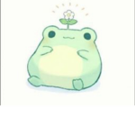 Groovy Froggys**